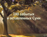 100-zabytyx-i-ostavlennyx-sunn